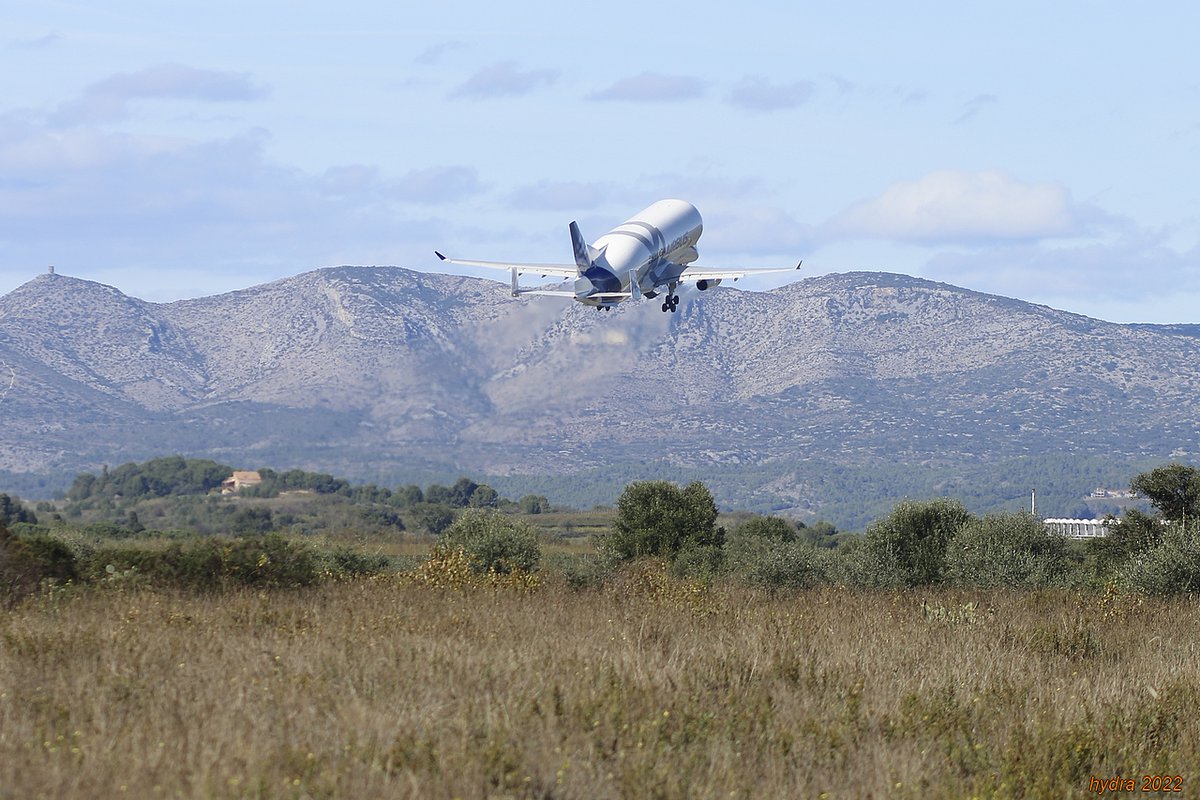 hydra_66's tweet photo. "PPG" @alltheVORs
#BelugaXL #PerpignanPGF #VORchallenge https://t.co/xz5QtPg231