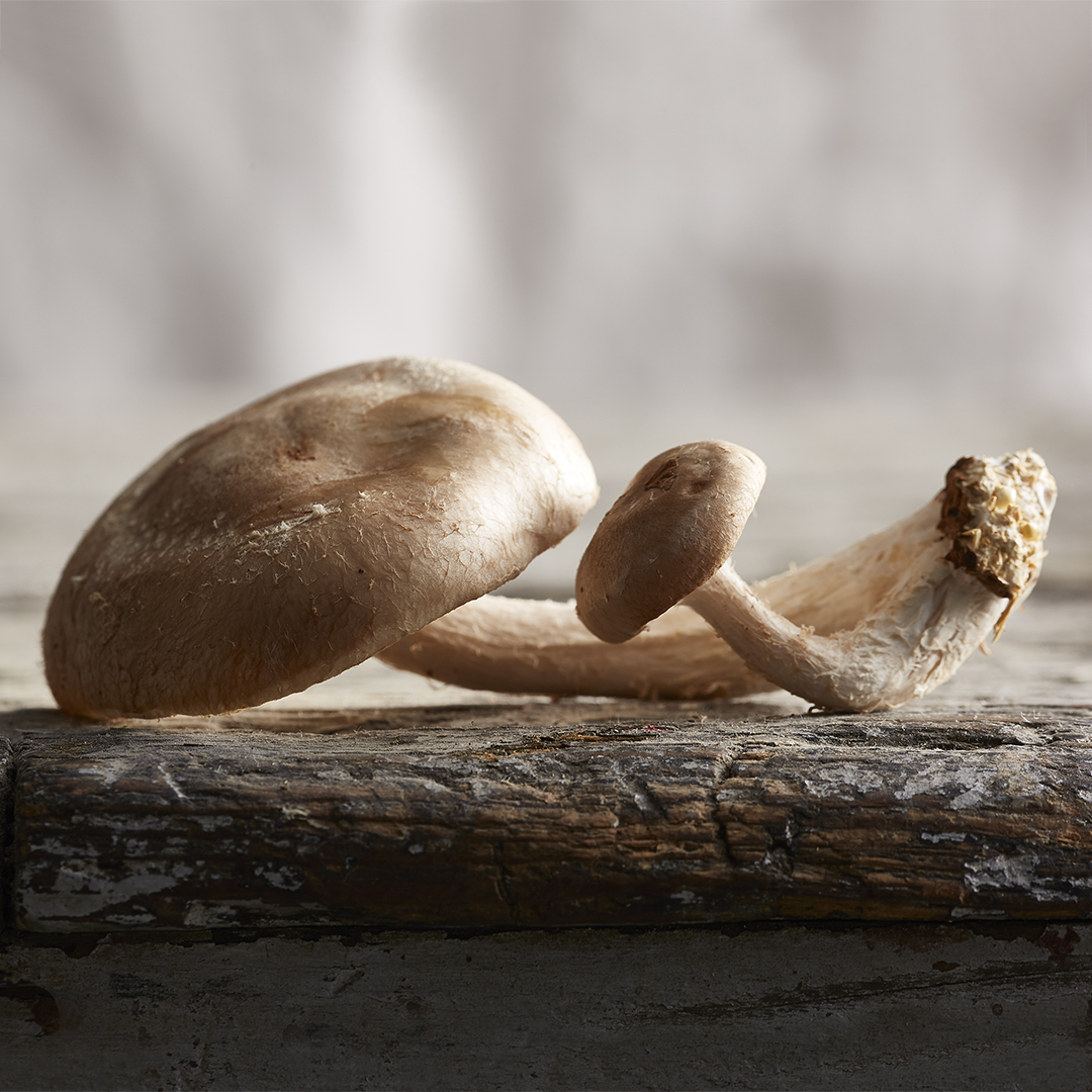 In the hands of a professional, even something simple and rustic can be elegant and evoke a warm, inviting fall season. If we can make a beat-up old board look this good, think about what we could do for your products.
#PhotographyIsLife #ThroughTheLens #Photography #Visuals