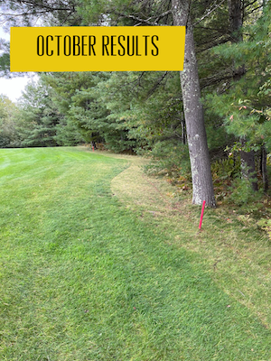 Solutions4Turf's tweet photo. The @ImantsBV #Rootpruner is your #solution for battling unwanted tree roots! No clean up necessary with minimal surface disruption. Our friends at @minocquaCC used it in July and by October it was like the roots were never even there. #SolutionsPeople https://t.co/FGF28a96LM