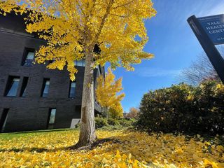 Yale Health Center tweet media