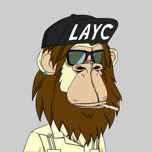 DDishOZ👑 tweet media