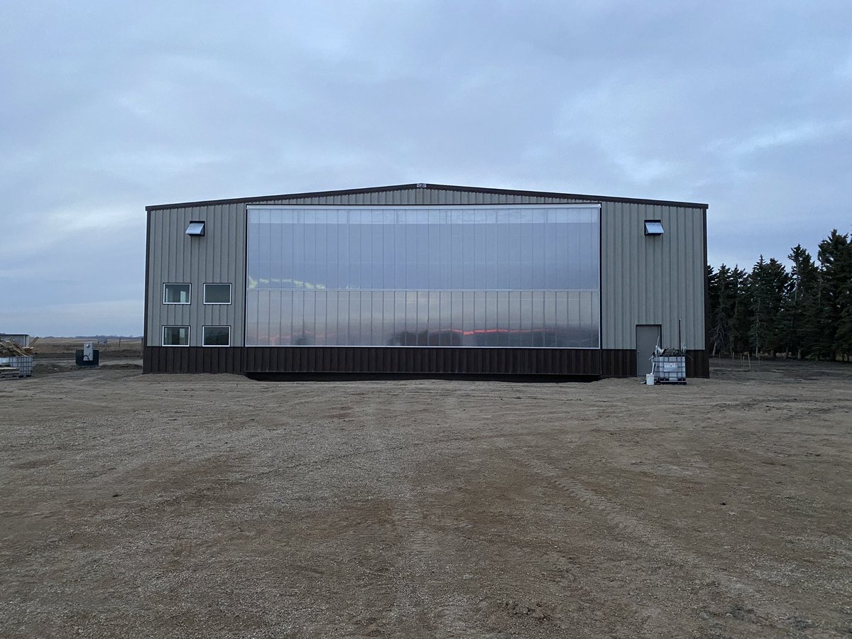 Alex Carey tweet media