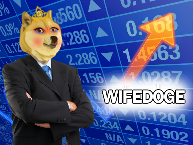 wifedoge's tweet photo. 💪Think long-Term over short,please hold WifeDoge.🚀
#wifedoge #dogecoin #BNB #DogecoinToTheMoon https://t.co/7jiLKSLCxb