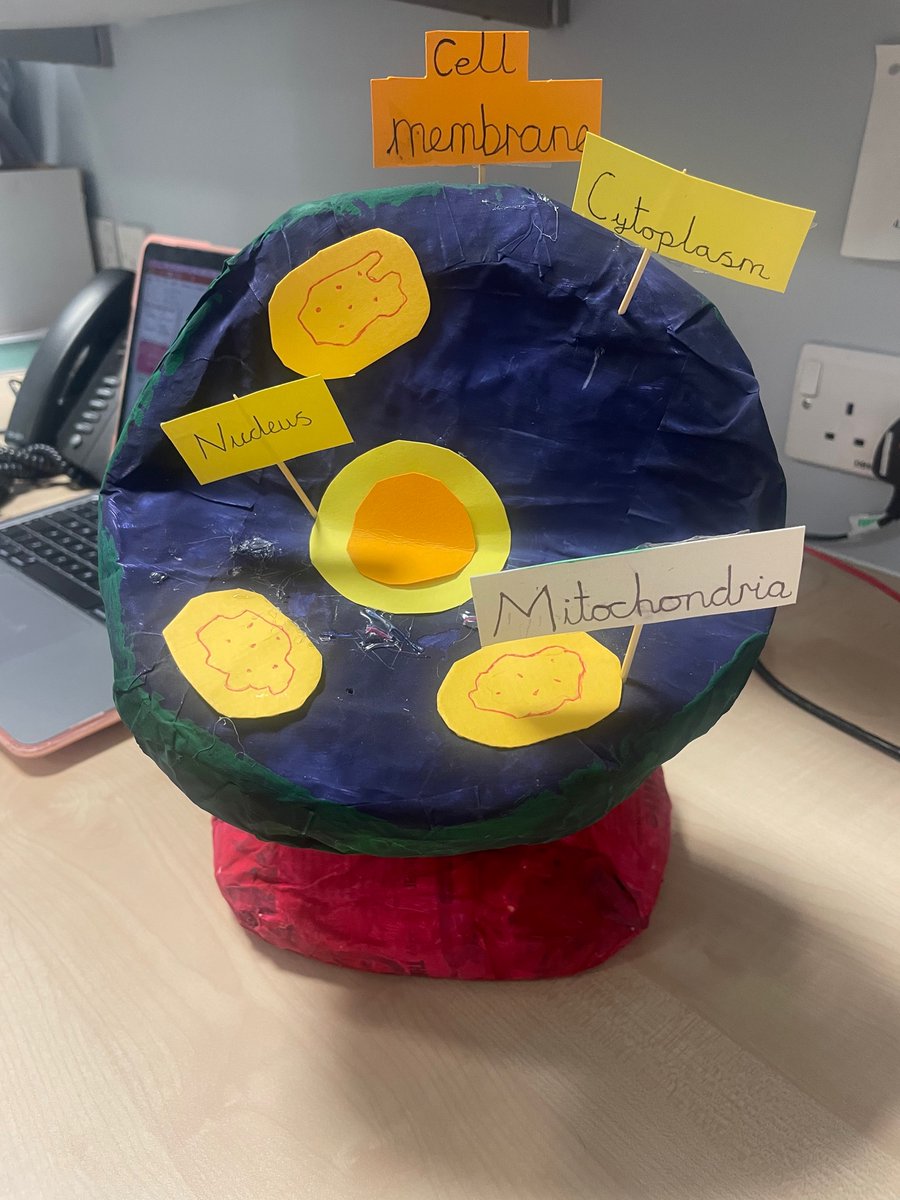 PVC_Science tweet media