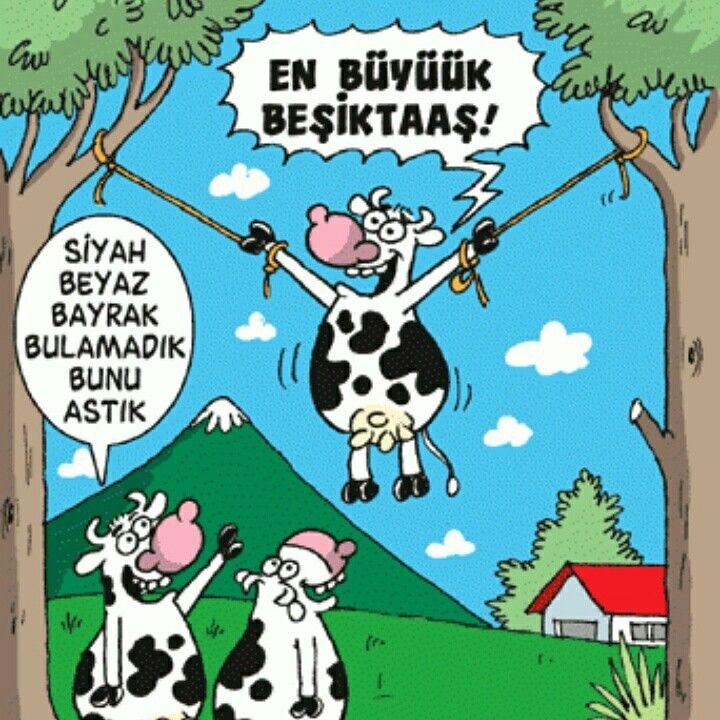 🌺Dilek Tatarlilar🌺 (@dilekofficiall) on Twitter photo 