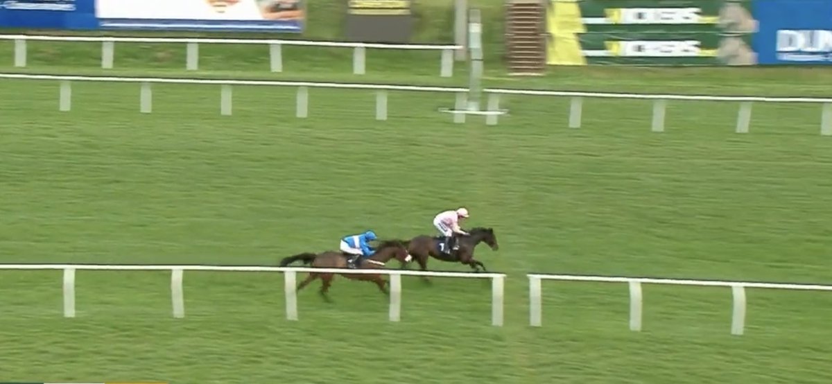 TMBloodstock's tweet photo. American Sniper takes out the maiden hurdle with a huge leap at the last for @DavidPipeRacing @tommyscu
The 4yo son of Malinas was bought @GoffsUK Spring Sale from @BallycrystalS
Congratulations to Mrs Jeal 👏 https://t.co/JHoyVzfR0P