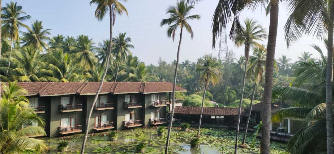AndhraNexus's tweet photo. #Dindi resorts💙
#Konaseema God's Native place
#VisitKonaseema
#ExploreAP
#APToursim https://t.co/ryH9C1AI4v