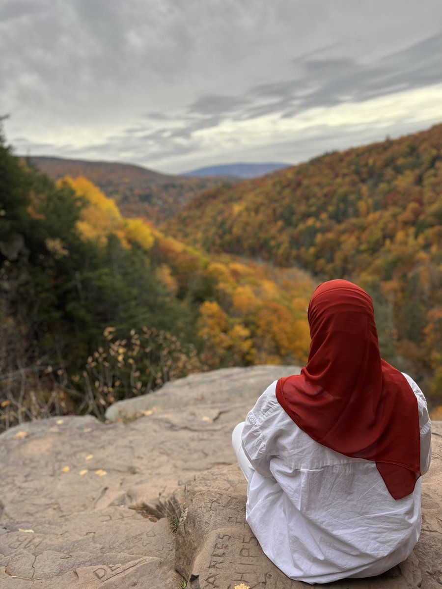 yaaaaaaaaasmeen's tweet photo. خريف ❤️🧡💛🍂🍁

#kaaterskill falls https://t.co/xlliJYzUUV