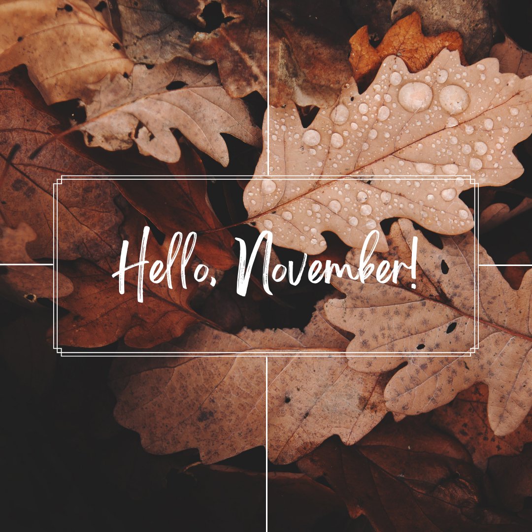 _bestmediacorp's tweet photo. Hello there! 🍂🍁🧡

#autumnvibes https://t.co/qB0jgO1LMT
