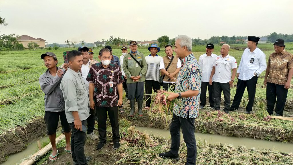distannakjateng's tweet photo. Gub Jateng @ganjarpranowo, kunjungi lahan bawang merah milik Bp.Taufik Himawan Desa Glonggong,Wanasari,Brebes (02/10)sluas 0,3ha &amp; berdialog terkait produktivitas bw.merah yg krg optimal krn kualitas tanah yg tlh sarat kandungan unsur kimia dr sistem budidaya yg krg tepat
~Thread https://t.co/PWDQWNVNYP