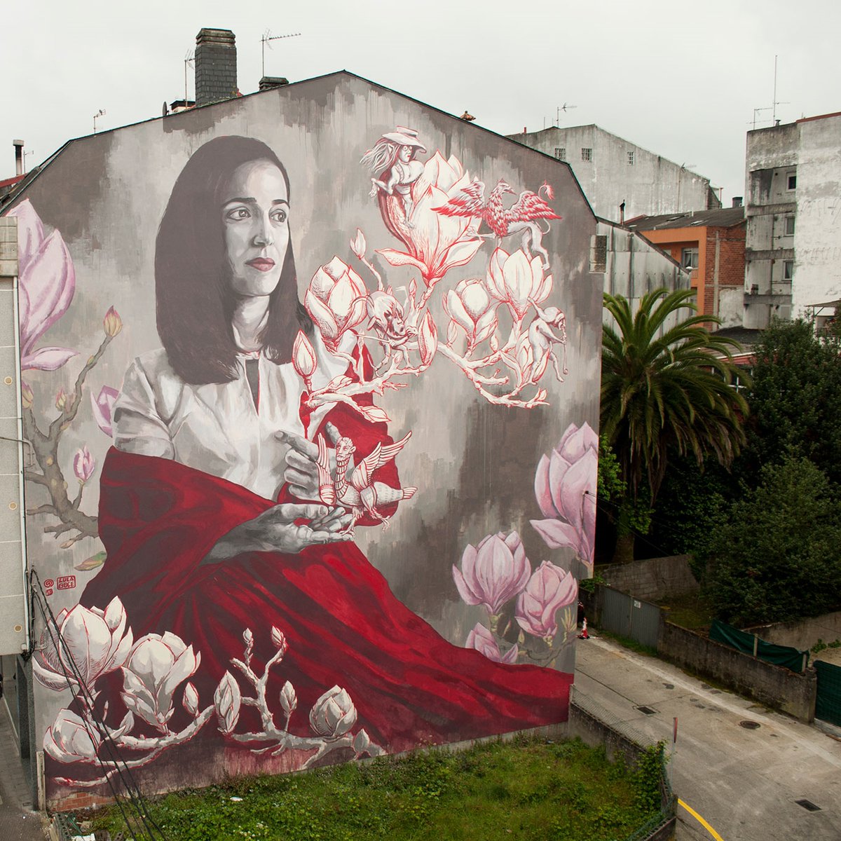 DerrubandoMuros tweet media