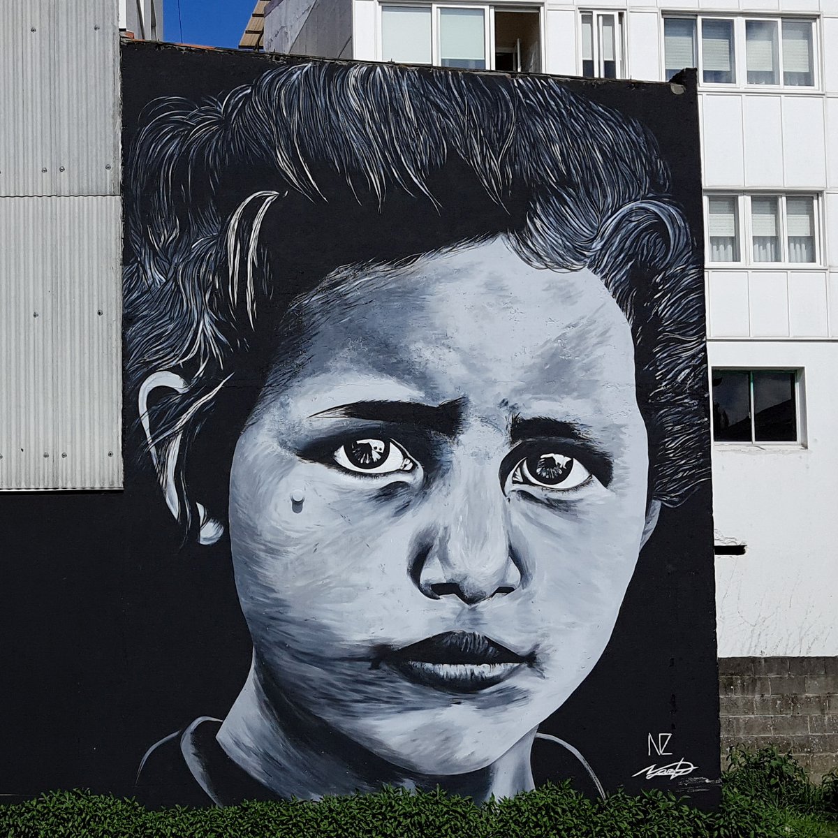 DerrubandoMuros tweet media