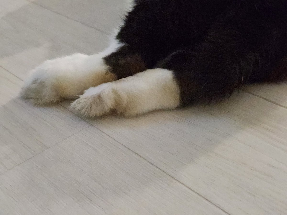 HHome🕯 tweet media