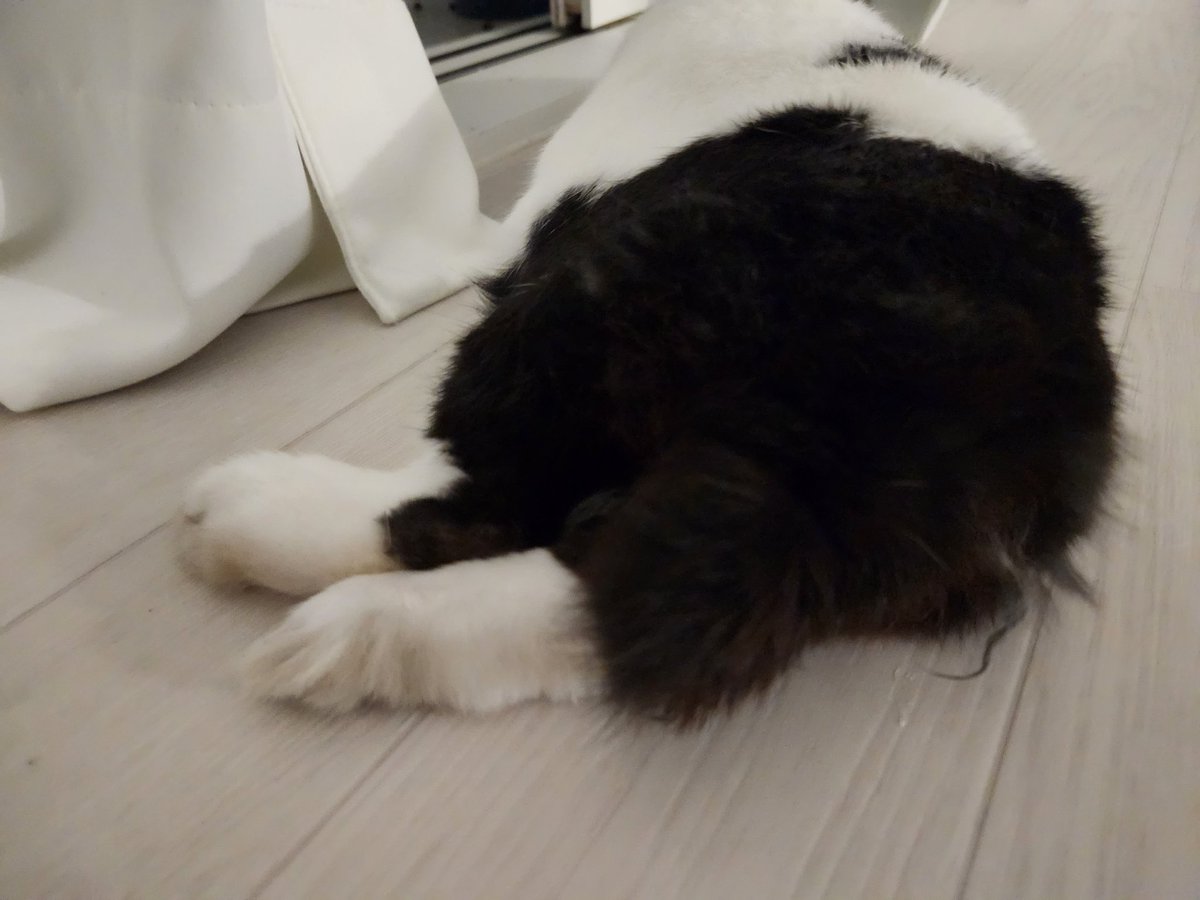 HHome🕯 tweet media