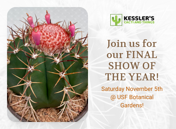 LesleeLacey's tweet photo. Calling fellow cactus connoisseurs. @kesslercactus is having a cool cactus market in Tampa on Saturday. They sell unique and exotic cactus that's difficult to find in #Tampa. Its from 9 to 2. #cactus #cacti #succulents https://t.co/3kDGgy0jR1