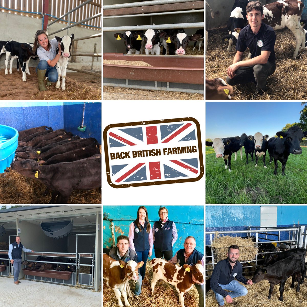 Today is #BackBritishFarmingDay 2022 where we celebrate all the great things about our country's food producers.

We are proud to be part of the farming community who love & care for their animals🇬🇧🐮

#backbritishfarming #backbritishfarmers #nfumutual #caringforthenextgeneration