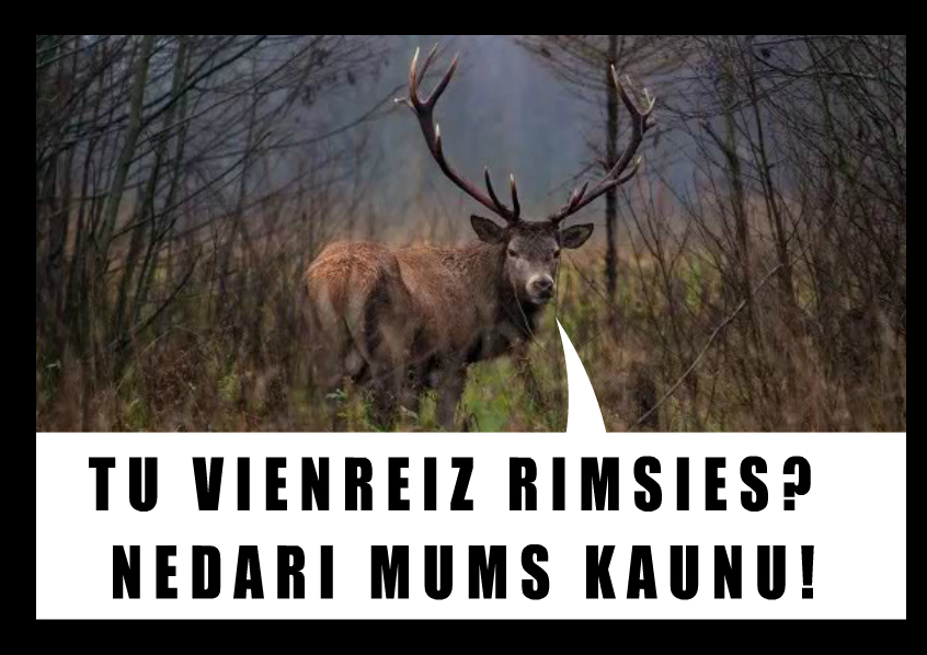 <a href="/BriedisMairis/">Mairis Briedis</a>