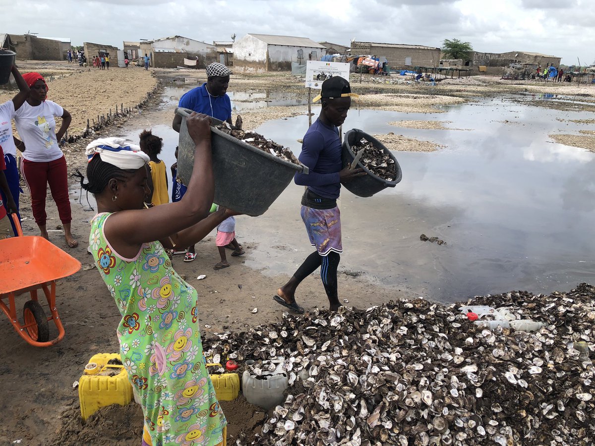 SenegalGlobal's tweet photo. @ActionAid @Randkhushman96 @brandoncwu @PlatformsGlobal @ActionAidUSA @actionaidAR @PlatformsGlobal @ActionAid  @actionaidAR  @ActionaidSN #MyLossAndDamage https://t.co/mvyQvf9Iru