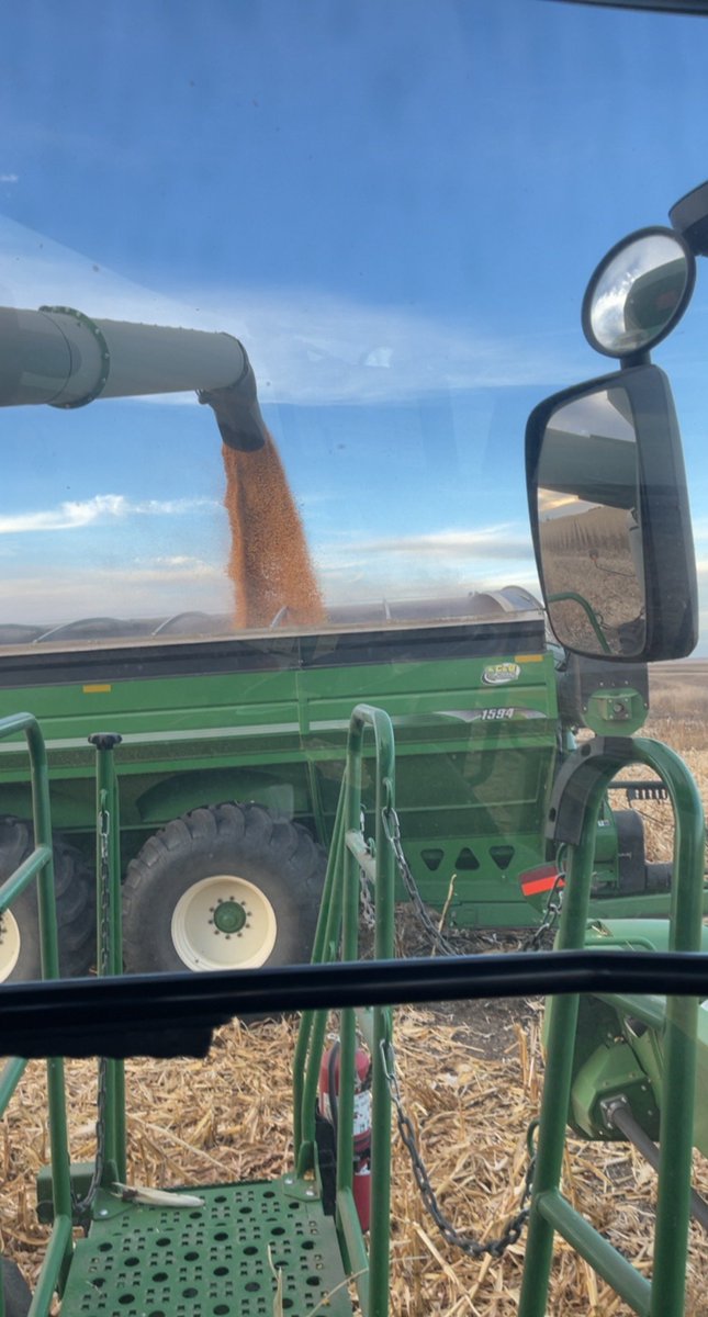 ProAgND's tweet image. This year Stine Seed is yielding extremely well along with having high test weight for tough growing conditions. 

#agbiz #Bismarck #proagsolutions #harvest2022 #nodak #StineSeed