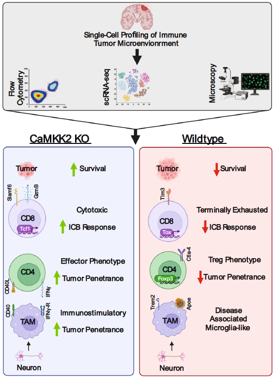 Billy Tomaszewski tweet media