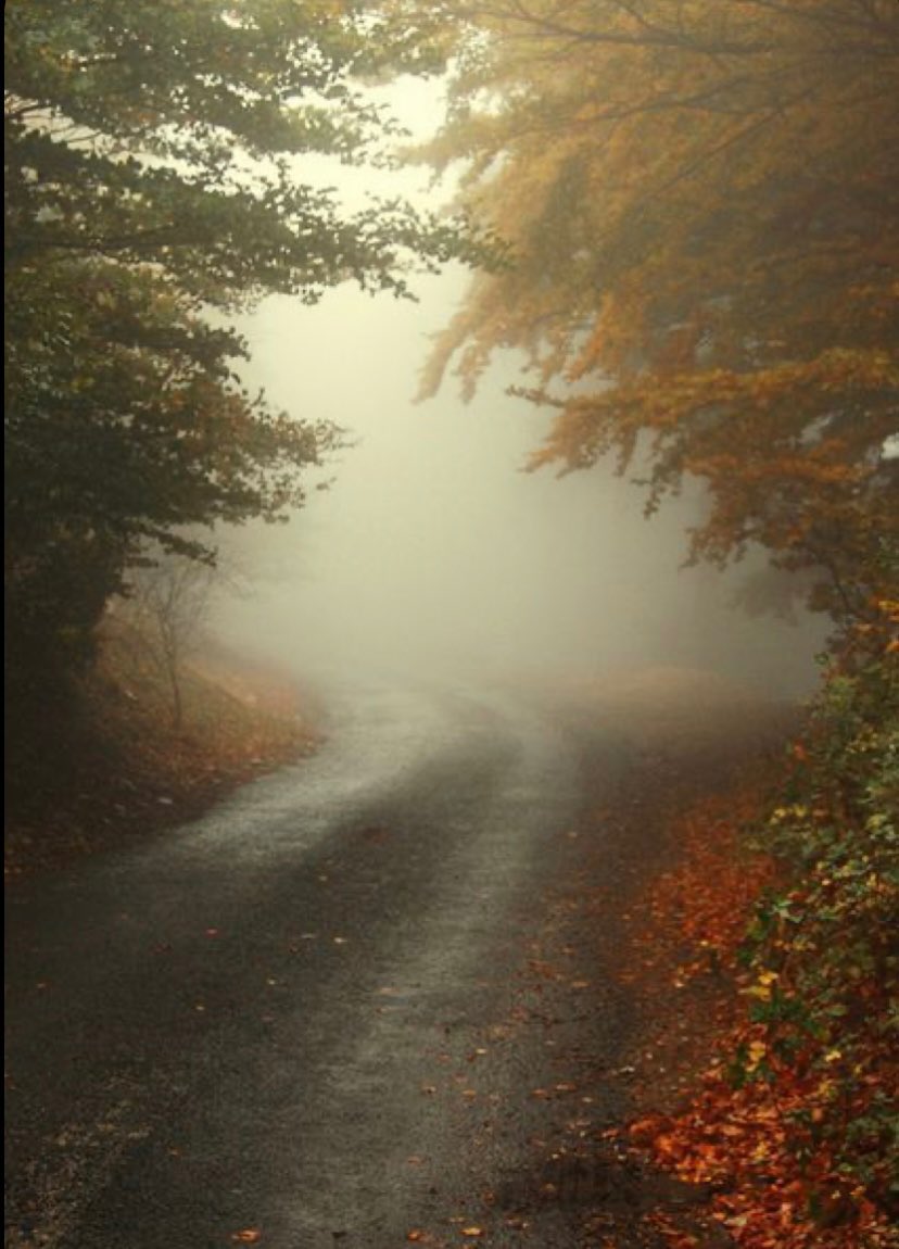 Con el pasar de los años,los pensamientos se hacen largos y los pasos más lentos,
se aprende a andar sereno,por los caminos torcidos e inquietos
Se aprende a estar fragmentado pero entero, aunque en la soledad del atardecer,el viento llegue cargado con el aroma de los recuerdos©️
