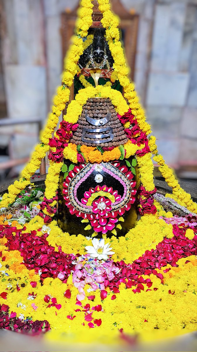 श्री अहल्याबाई मंदिर, प्रभासक्षेत्र - गुजरात (सौराष्ट्र) दिनांकः 02 नवम्बर 2022 कार्तिक शुक्ल नवमी - बुधवार सायं शृंगार 11224471