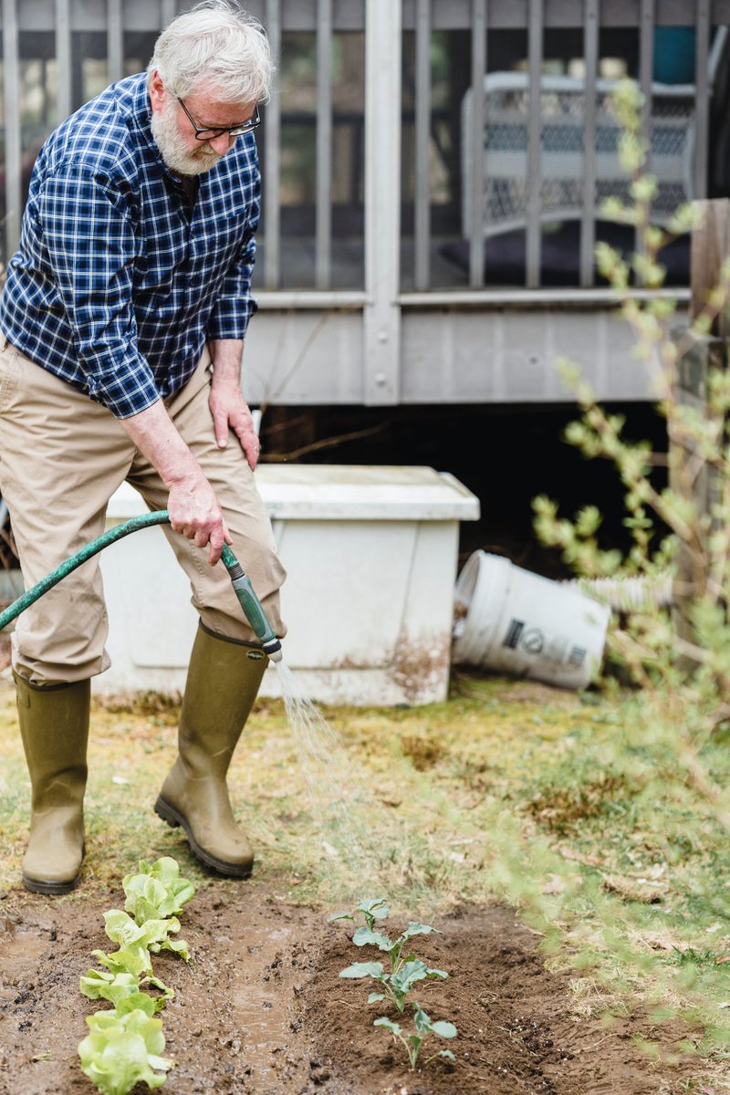 Las personas con Alzheimer también pueden encontrar gratificante realizar tareas estimulantes para sus sentidos.
Con la jardinería🌳 se realizan actividades como preparar la tierra, plantar o regar, además del sentimiento de poder cuidar y ver el esfuerzo con el paso del tiempo.