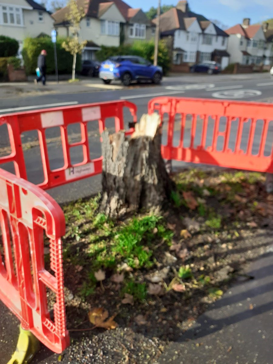 @TinaLee40034903 @LBofHounslow @SeemaMalhotra1 Good Afternoon,
The tree stump is safe as it has been barriered off and will be removed tomorrow. 
Thanks.