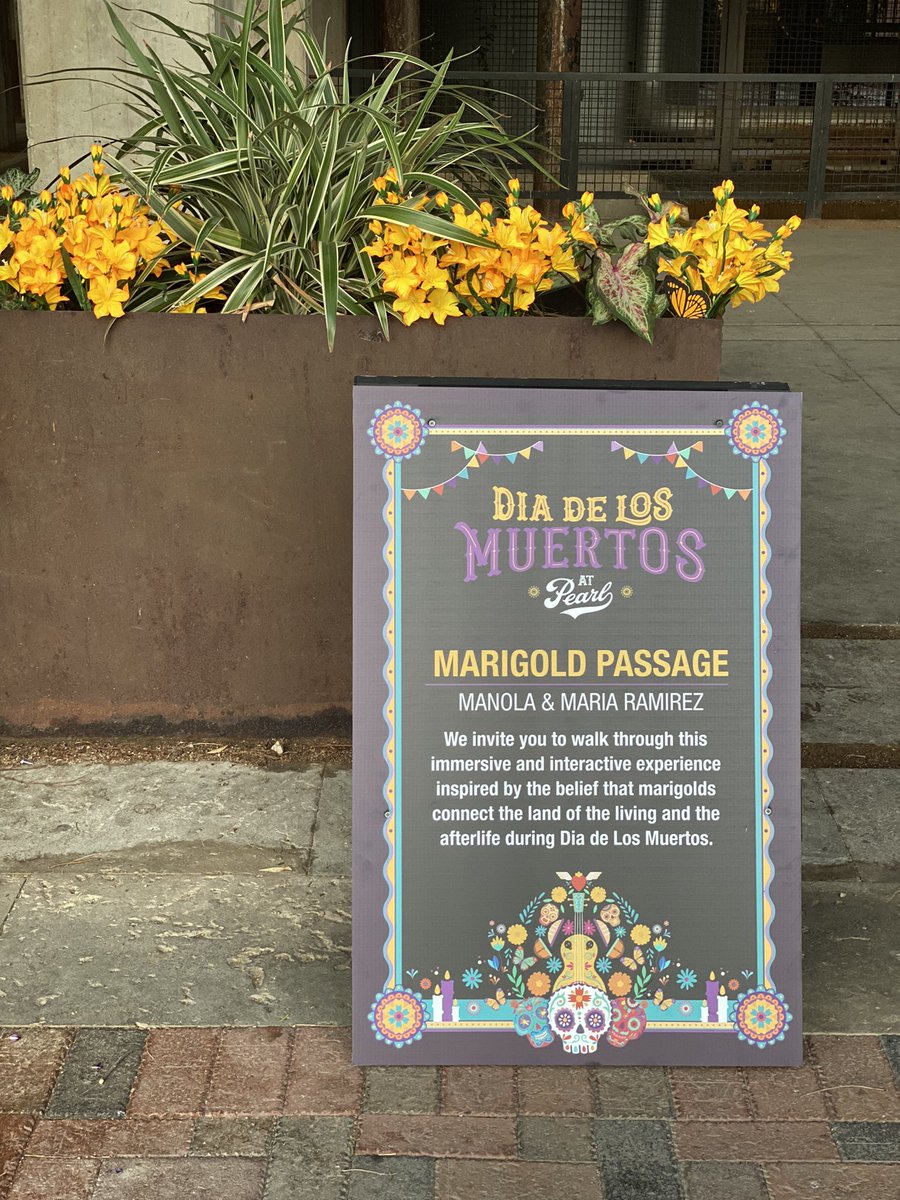 ImStephanieReed's tweet photo. Exploring my neighborhood this morning during Dia de los Muetros #quittingiswinning #newchapter #50andfabulous #onwardandupward https://t.co/ezi8DZuFE3