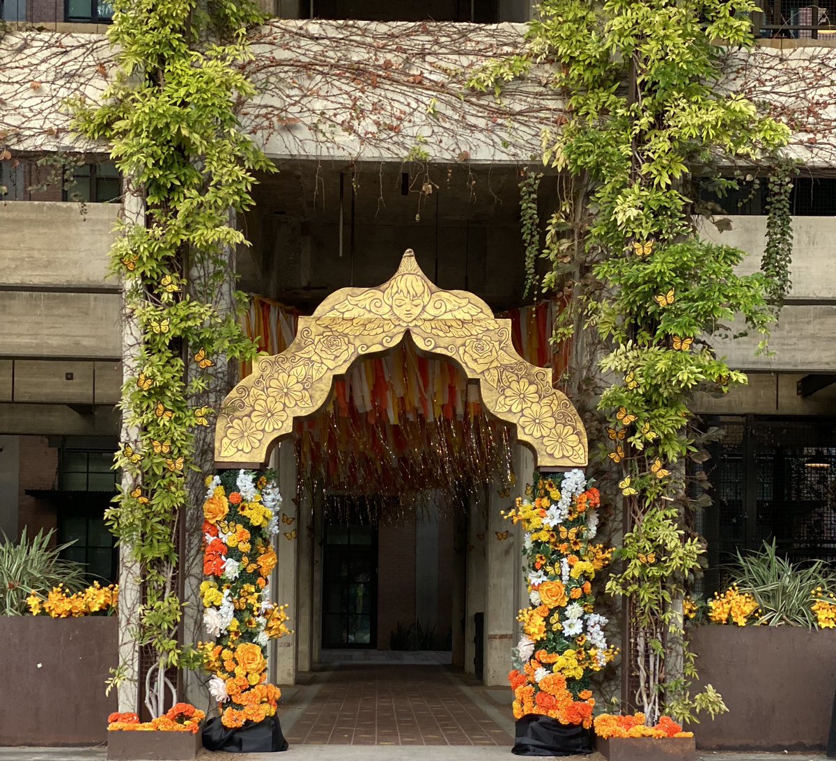 ImStephanieReed's tweet photo. Exploring my neighborhood this morning during Dia de los Muetros #quittingiswinning #newchapter #50andfabulous #onwardandupward https://t.co/ezi8DZuFE3