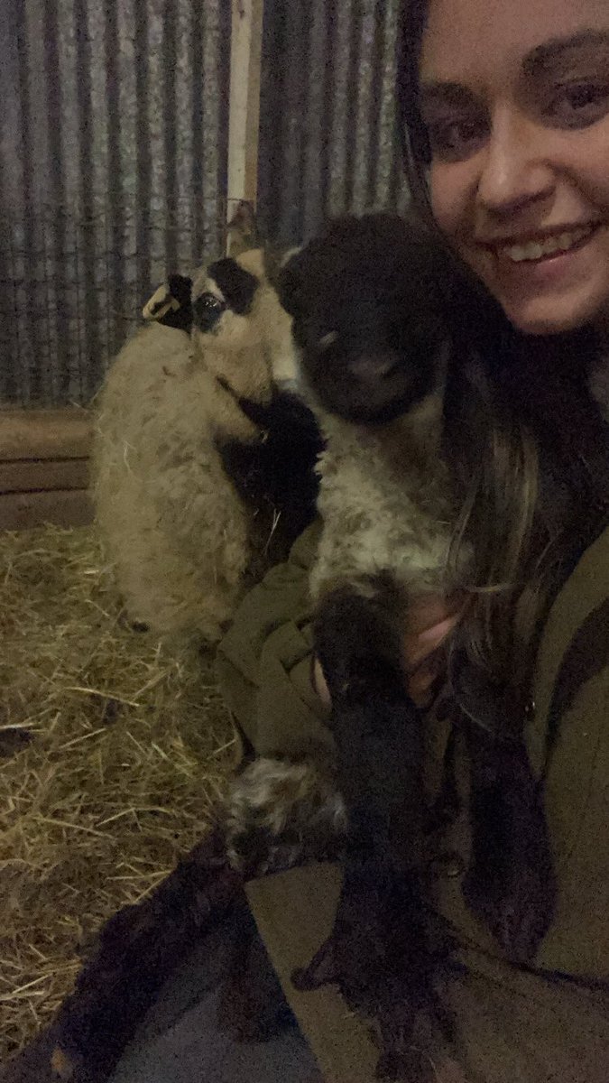 BeckyC0593's tweet photo. Happy #BackBritishFarmingDay! I feel privileged to be a small part of British Farming - big shout out to all those that work on the industry to play some part in getting our food on the table ❤️ @NFUtweets https://t.co/cptc4onPWx