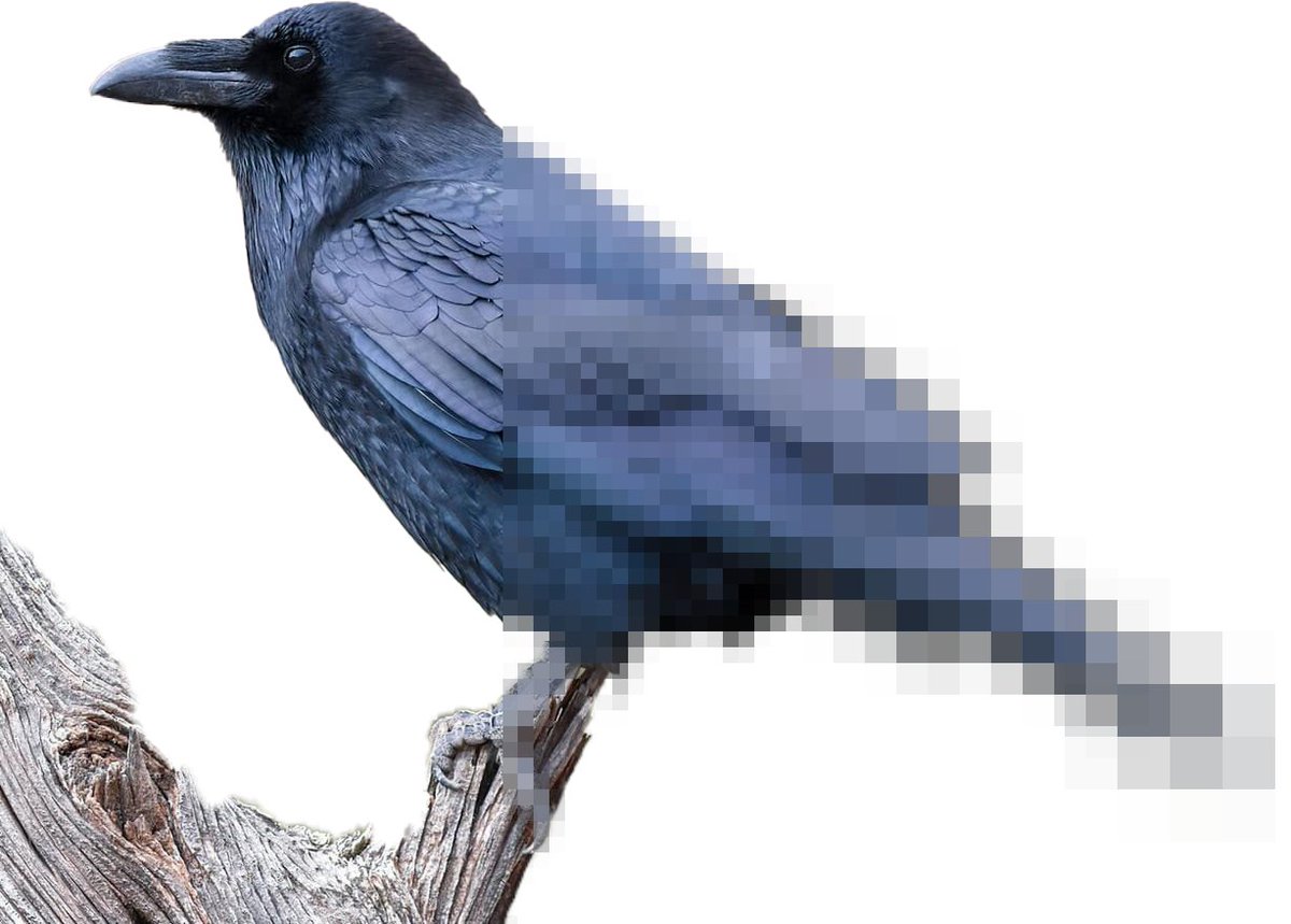 Salt Flats tweet media