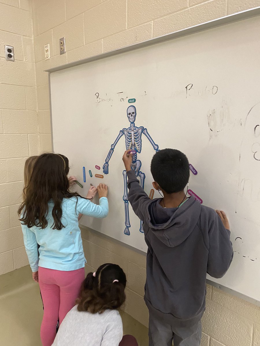 ASFS_PhysEd's tweet image. 3rd grade students were investigating the Skeletal System today with bone identification, looking for broken bones, and making spinal column models.
