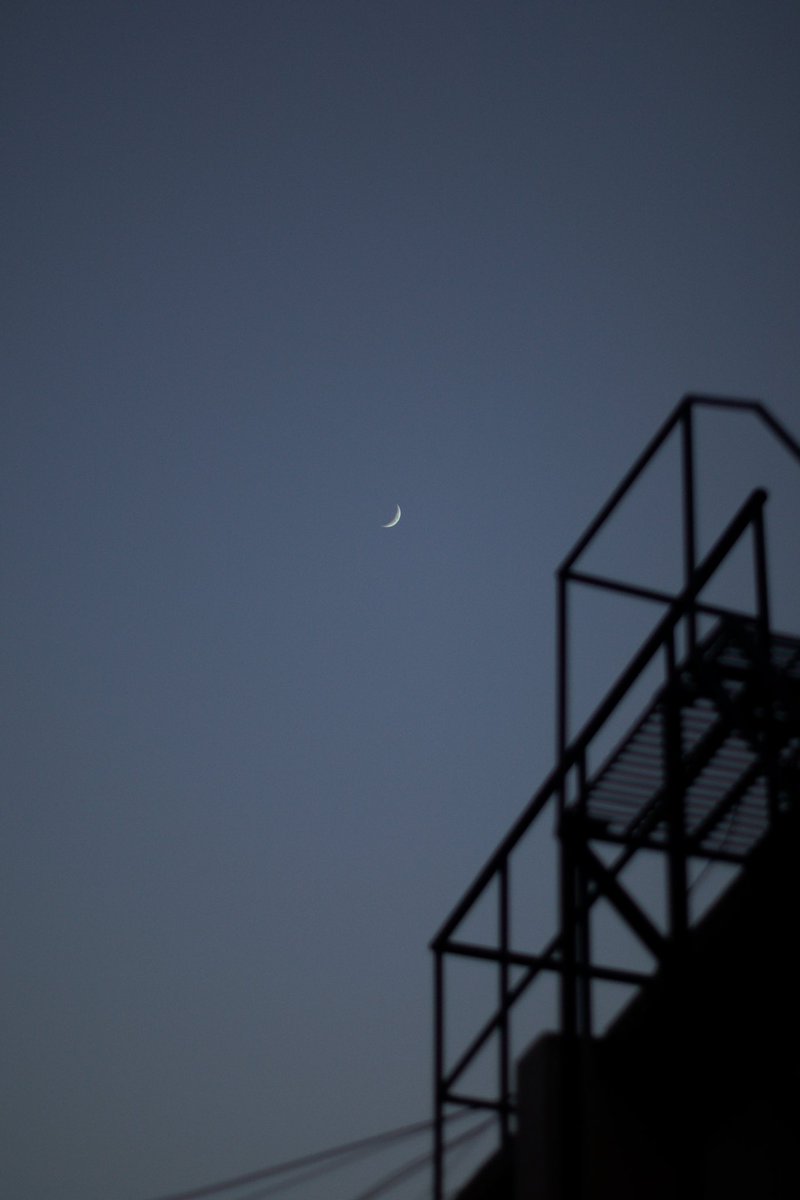 moon child.