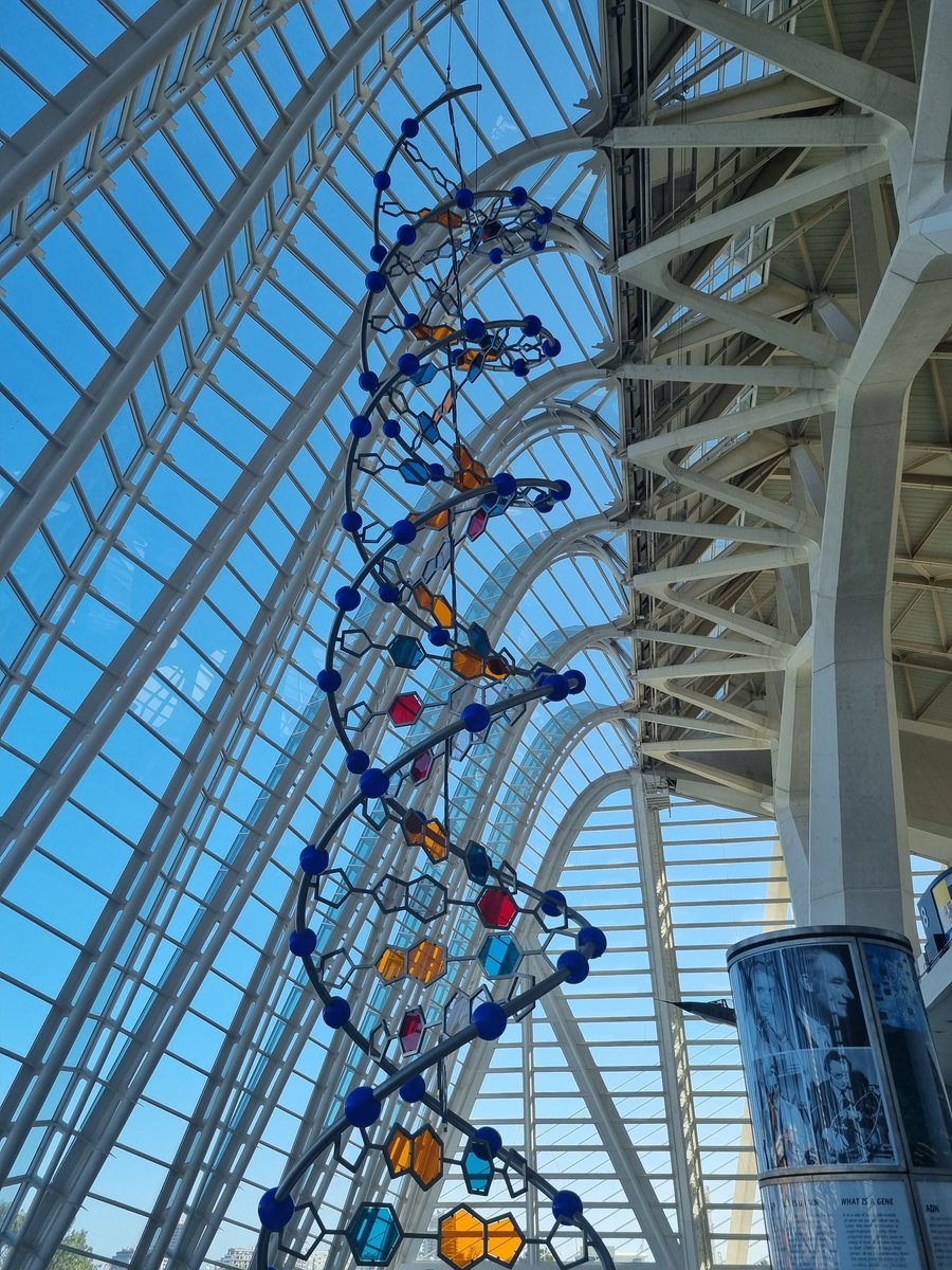 Leanne Cleaver (@leannecleaver4) on Twitter photo I'm having a great time in Valencia - it was a national holiday yesterday so I explored the Museo De Les Ciencias. Thanks to the <a href="/OMIG_BSODR_UK/">OMIG</a> and <a href="/ukbiofilms/">National Biofilms Innovation Centre (NBIC)</a> travel grant for the opportunity to come here and spend time at <a href="/GVAfisabio/">GVA Fisabio</a> to learn metatranscriptomic analysis! I'm having a great time in Valencia - it was a national holiday yesterday so I explored the Museo De Les Ciencias. Thanks to the <a href="/OMIG_BSODR_UK/">OMIG</a> and <a href="/ukbiofilms/">National Biofilms Innovation Centre (NBIC)</a> travel grant for the opportunity to come here and spend time at <a href="/GVAfisabio/">GVA Fisabio</a> to learn metatranscriptomic analysis!