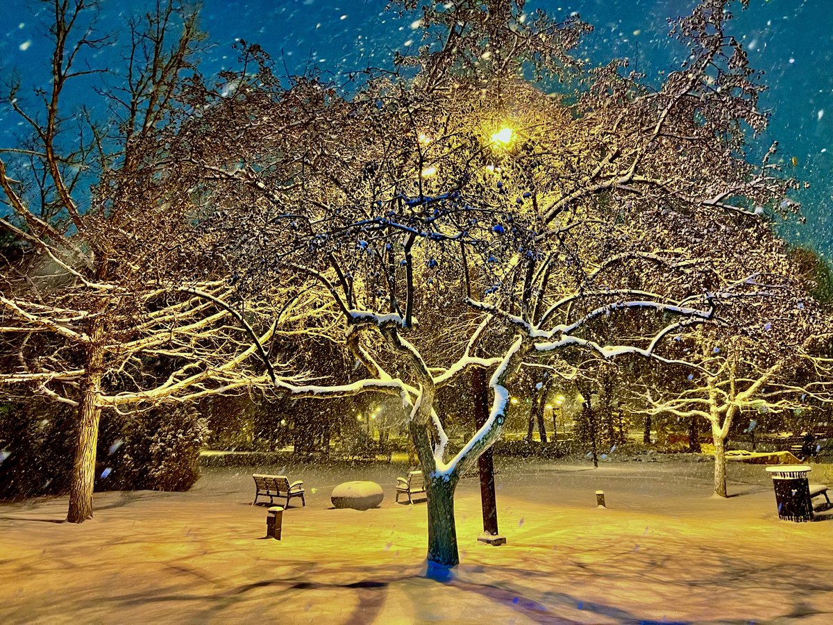 Snow is a gift that takes an open heart to appreciate.