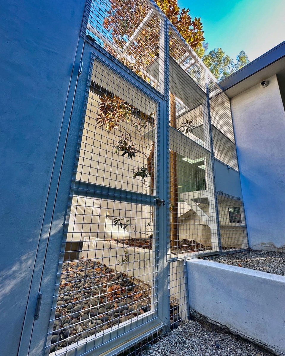 CatioGuy's tweet photo. Studio City courtyard catio with a fabulous tree centerpiece makes for some happy cats and stunning photos. 😺
#cat
#cats
#catio
#catios
#catioguy
#customocatio
#customcatios
#catenclosure
#catsafety
#catlife
#catlifestyle
#catsrule
#catslovers
#catlovers
#catloversclub
#meow https://t.co/PdfNb1Trew