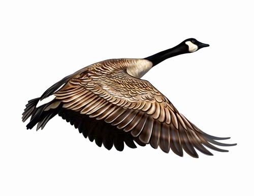 Sullivan1K's tweet photo. In honor of Eastons Waterfowl Festival our $99 Waterfowl Facial is back for the month of November! This relaxing facial includes a deep cleanse, microdermabrasion, custom mask and a facial massage.
.
Call Today to Book Your  Facial! 410-571-1280
.
In our Easton or Annapolis locat https://t.co/fKL4QPC0Qp