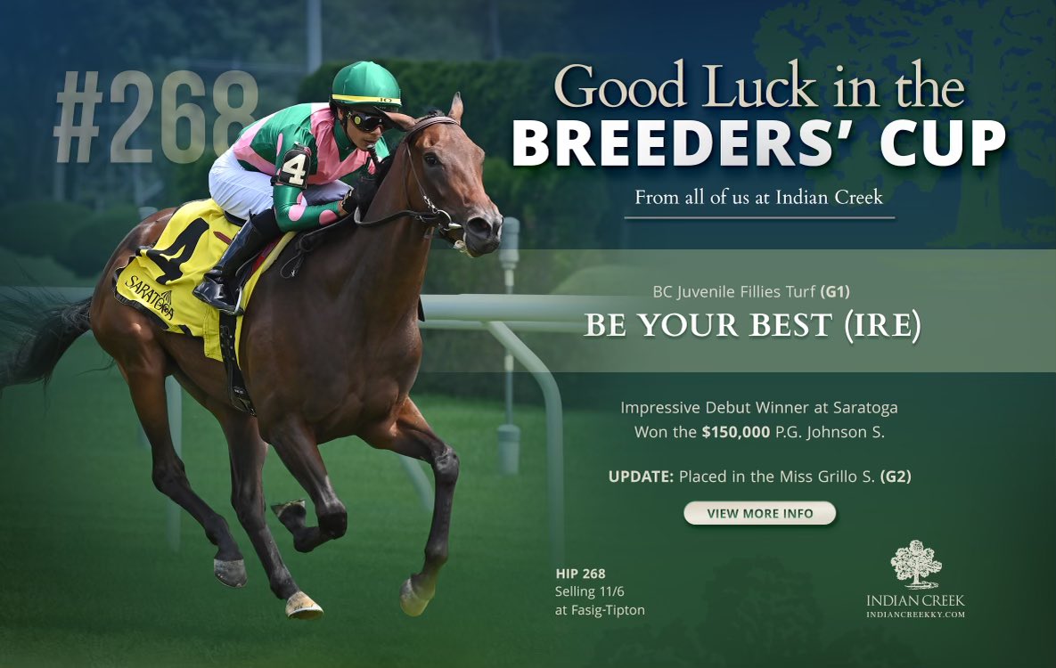 Indian Creek (@indiancreekky) on Twitter photo Good luck to Mike Ryan, <a href="/depazracing/">De Paz Racing</a> , and <a href="/jose93_ortiz/">Jose Ortiz</a> and they look to win the @breederscup Juvenile Fillies Turf on Future β¨ Friday with Be Your Best! ππΌ
Selling Sunday as hip 268 <a href="/fasigtipton/">fasigtipton</a> Night of the Stars
#thinkindiancreek Good luck to Mike Ryan, <a href="/depazracing/">De Paz Racing</a> , and <a href="/jose93_ortiz/">Jose Ortiz</a> and they look to win the @breederscup Juvenile Fillies Turf on Future β¨ Friday with Be Your Best! ππΌ
Selling Sunday as hip 268 <a href="/fasigtipton/">fasigtipton</a> Night of the Stars
#thinkindiancreek