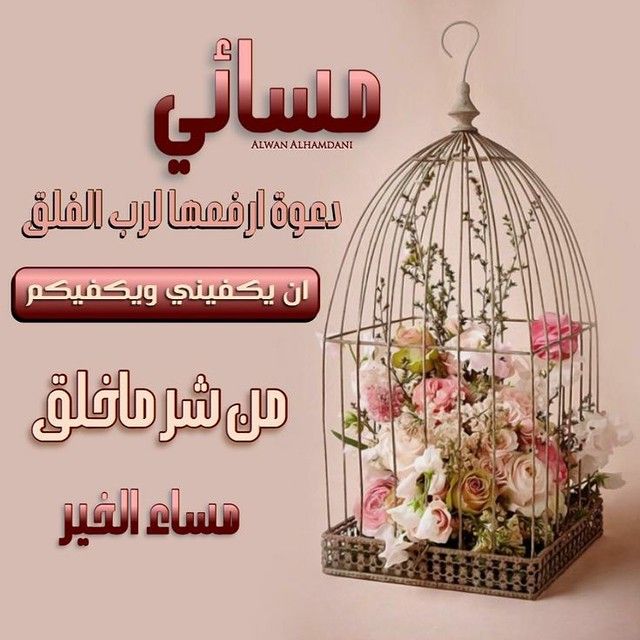 #دعم تابعوهم بيردوا الاضافه بأذن الله 🤍💯
<a href="/Sv_malek69/">Sara.Massage in riyadh Massage at home مساج بالريا</a> 
@Rii707i
<a href="/Abumeshal999_/">عبدالله بن محمد ( أبو‌مشعل ‌)</a> 
<a href="/y0nos/">Alhori</a>  
@ARobod2022 
<a href="/Hilali4Ever1957/">هلالي للأبد</a> 
<a href="/Beshoo_s_s/">بُشرى وصيفة 💙🤍 العالم 90🏆💙 م. 7 عالميا</a> 
@A6TcN1a5hWhuOA1 
<a href="/y0nos/">Alhori</a> 
@msymltyby 
@chima12hader345 
<a href="/malkta0b/">مالك المالكي ₘₐₗₖ ₐₗₘₐₗₖᵢ</a>