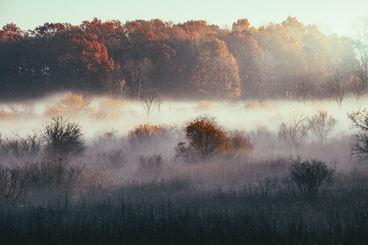 Some images I made this morning and the camera I made them with.