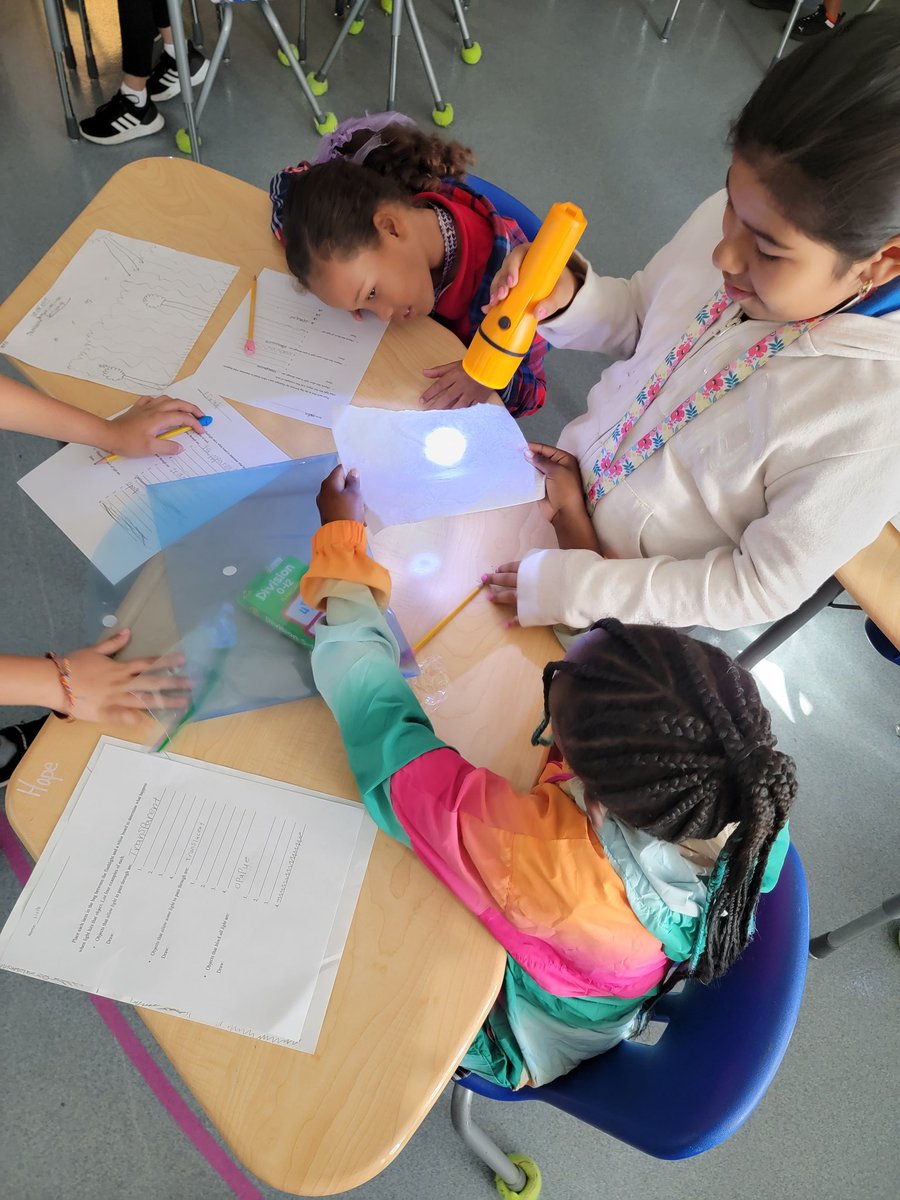 MrsHuber(Singewald) tweet media