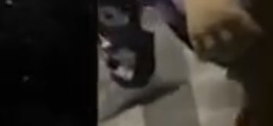 NFSCLAB's tweet photo. @Manifestxxx First off, Quavo didn't get punch.
Quavo Actually walked behind the guy
that swung that punch, meaning he
punched somebody else. Quavo wore
the "market x Swarovski dunks with
Cotton Wreath Levi jeans" you can see
him walk behind him https://t.co/V77ntu3rZn