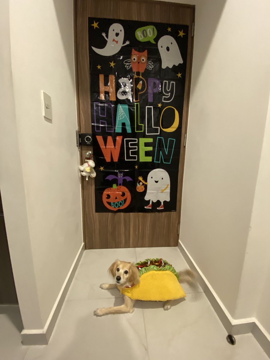 YocelynMp's tweet photo. @BeautyOfertasMx 🌮🧡 https://t.co/k0TJlxD8UH