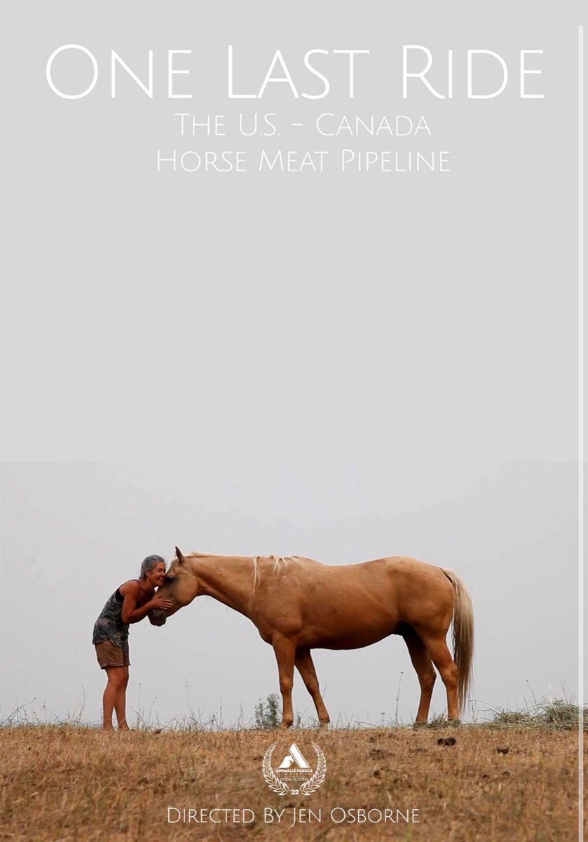 Important new documentary film ‘One Last Ride’ 🎥 about the Canada and U.S. horse slaughter pipeline. #Yes2Safe

Trailer ⬇️ Non- graphic 
twitter.com/RealJenOsborne…