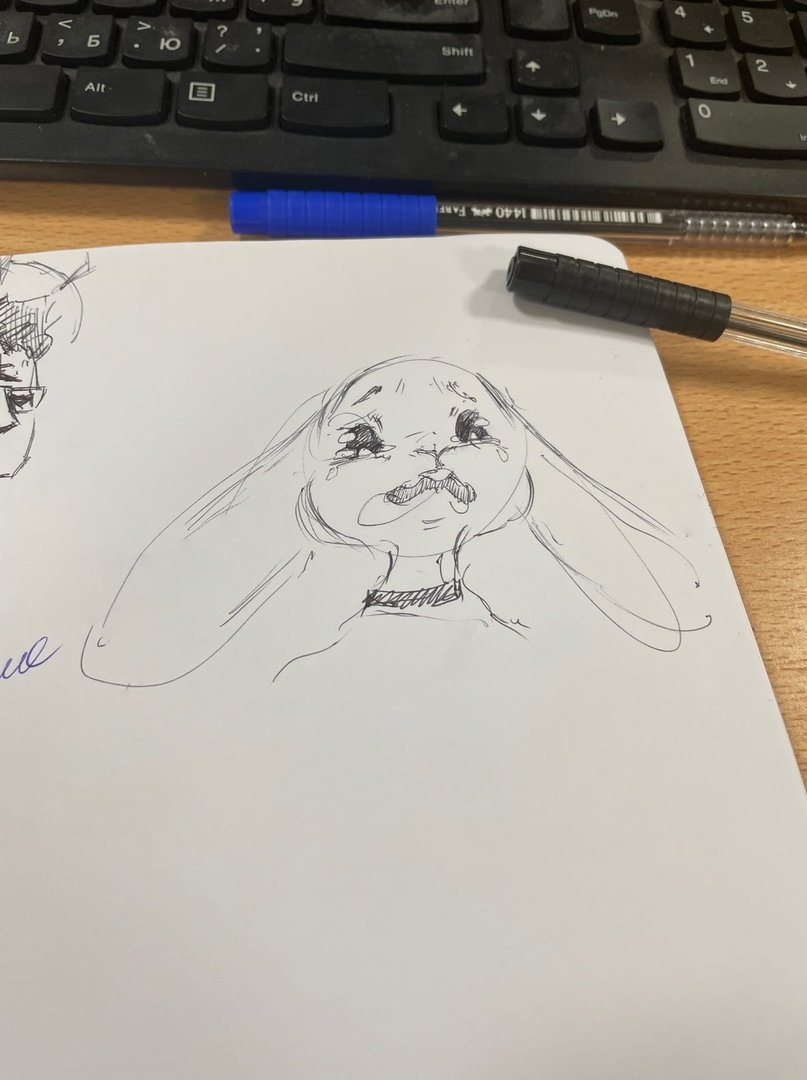 sas_egor's tweet image. bored at uni // Crying Haru sketch
#beastars #haru #amongus #furry #anthro