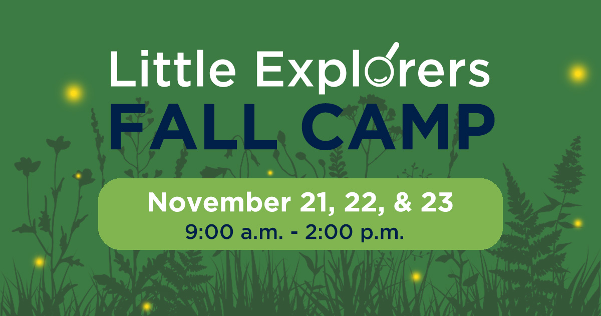 Children's Museum of Discovery tweet media