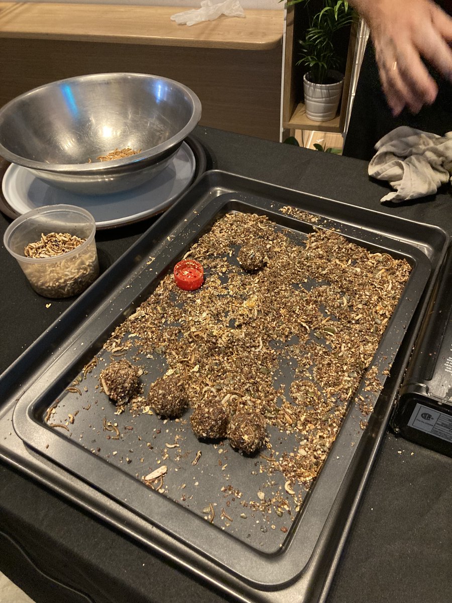 EspacePourLaVie's tweet photo. C'est le lancement du Kiosque EntomoMiam, qui sera présent du 2 au 5 novembre à l'aire de restauration @lecentralmtl. Le chef Daniel Vézina prépare des truffes énergétiques. #entomophilie #boucheesgourmandes https://t.co/kpUGFMgRdn