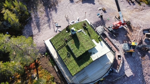 SempergreenGroup tweet media