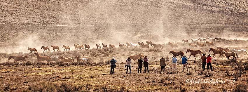 EPNet's tweet image. Join us for the fun and games in 2023!
equinephotographers.org/sombrero-ranch…